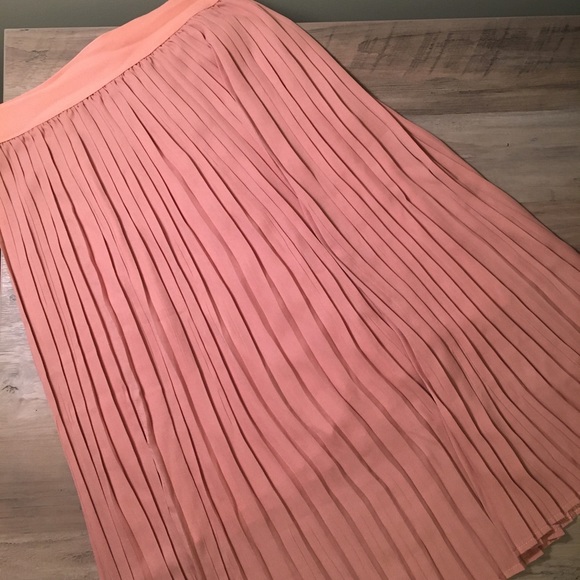 Dresses & Skirts - Blush Pink Pleated Midi Skirt